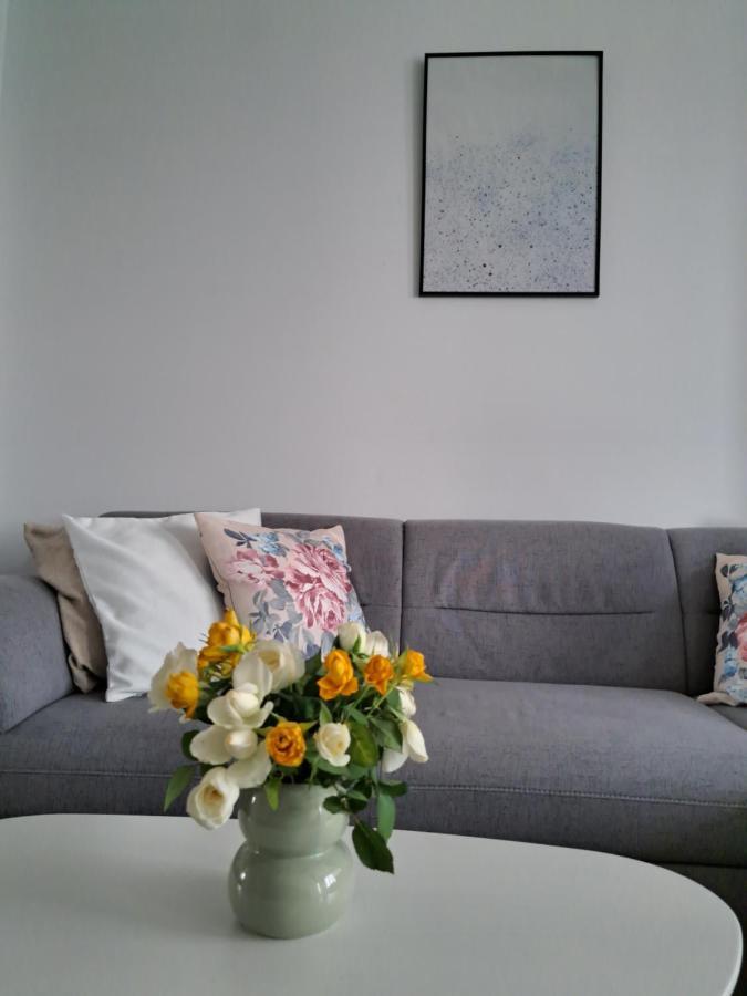 Apartament Apartament Onestilor Oradea Zewnętrze zdjęcie